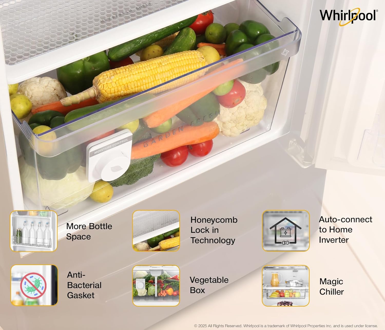 73766 WHIRLPOOL REF 260 IMPRO PRM 3S WINE BREEZE - Image 5