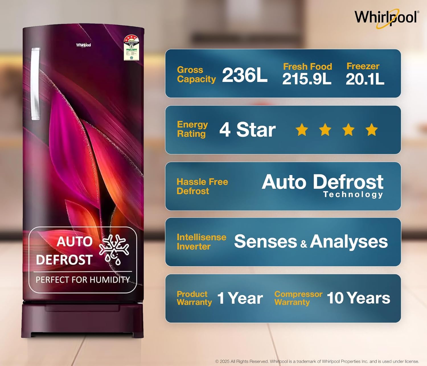 73766 WHIRLPOOL REF 260 IMPRO PRM 3S WINE BREEZE - Image 7