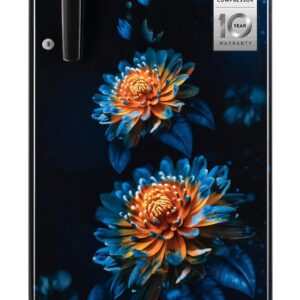 LG REF GLD1925WOEF