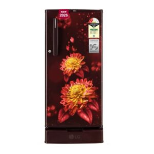 LG REF GLD1925WORB