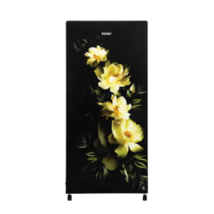 HAIER REF HRD-2061SCGA-N 185L