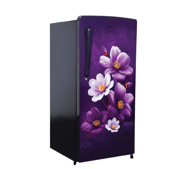 HAIER REF HRD-2061SPAA-N 185L - Image 2
