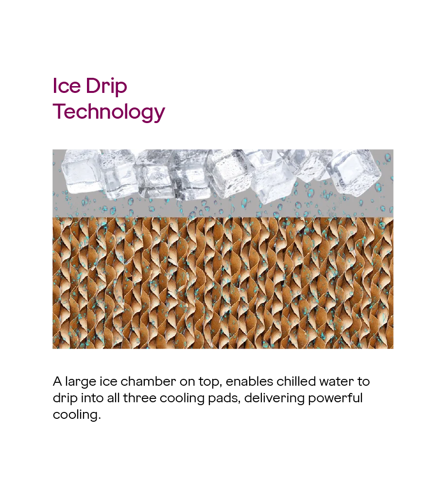 GODREJ COOLER CL EDGE CBPD 107 RBFN5 PR 87L - Image 5